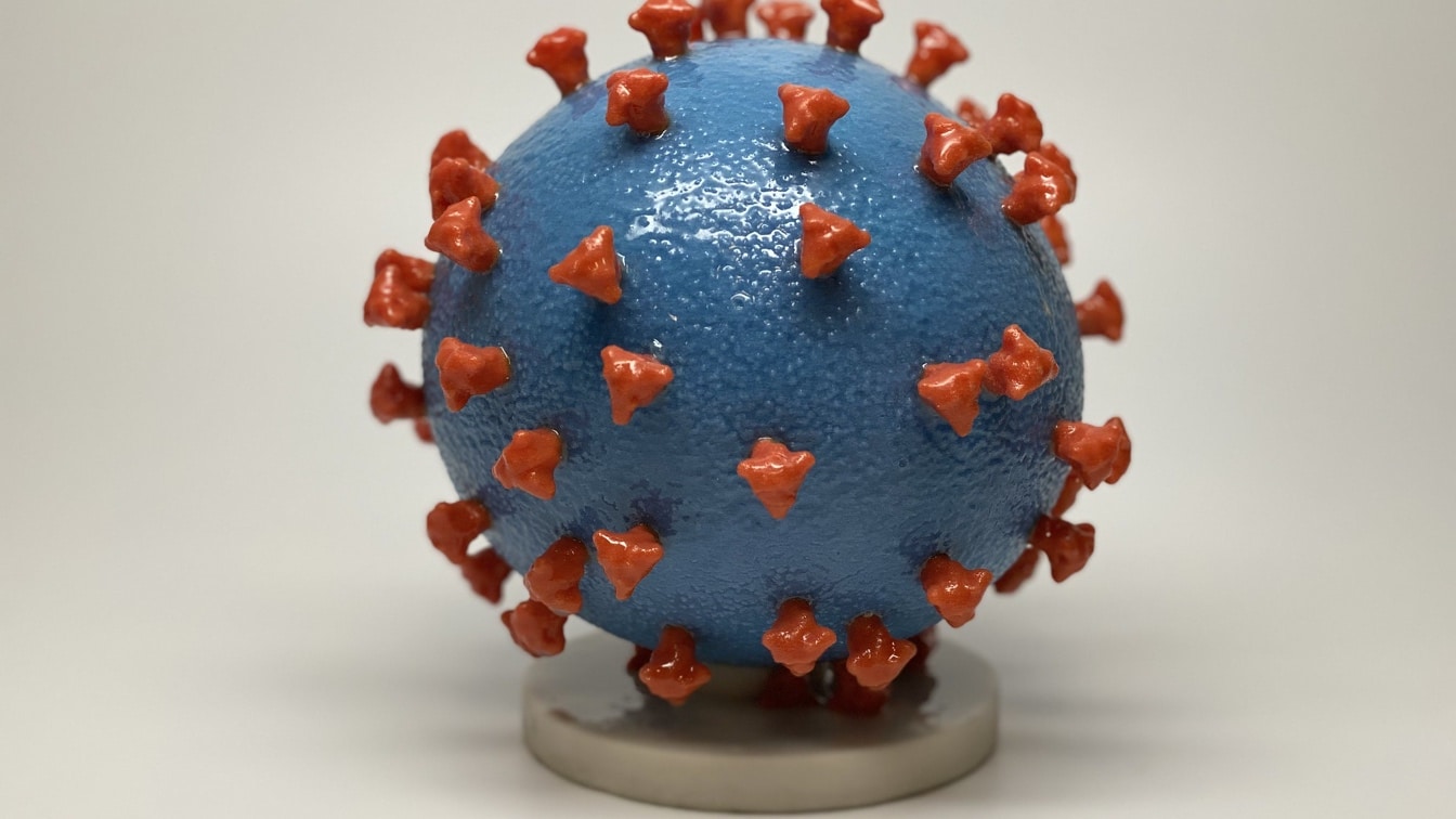 Coronavirus Surface Testing  - Bio Management Northwests