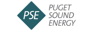 Puget Sound Energy – Environmental Cleanup Services